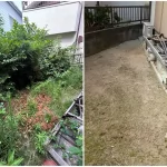 庭木のお手入れ事例
